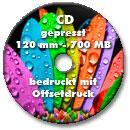 Offset- oder Siebdruck